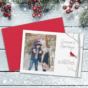 Cartes Pour Fêtes Annuelles Red Cardinal Woodland Winter Tree Multi One Photo