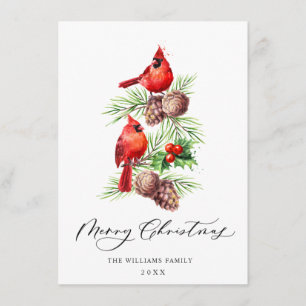 Cartes Pour Fêtes Annuelles Red Cardinals Holly Berry Christmas Greeting