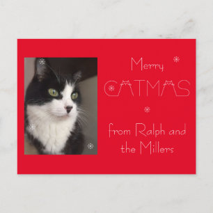 Cartes Pour Fêtes Annuelles Red Cat Pet Photo Joyeux Catmas