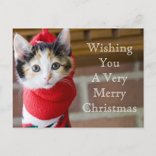 Cartes Pour Fêtes Annuelles Red Christmas Kitten (Devant)
