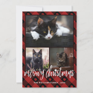 Cartes Pour Fêtes Annuelles Red Plaid Meowy Christmas Photo Collage