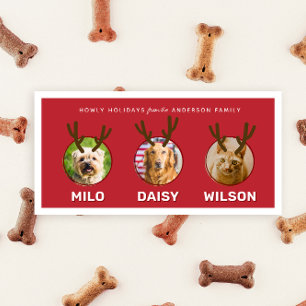 Cartes Pour Fêtes Annuelles Red Reinpet 3 Photo Pet Noël