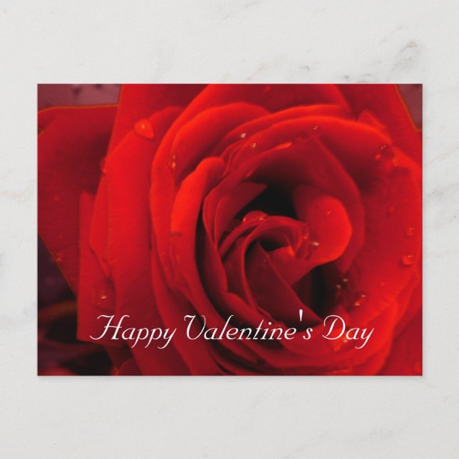 Cartes Pour Fêtes Annuelles Red rose flower (Devant)