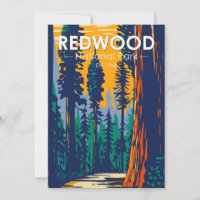Redwood National Park Californie Vintage 