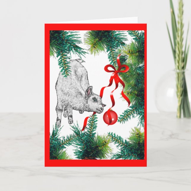 Cartes Pour Fêtes Annuelles Regarde de plus près Bébé Chèvre Noël (Devant)