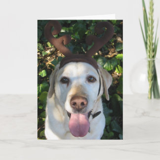 Cartes Pour Fêtes Annuelles Reindeer Prima