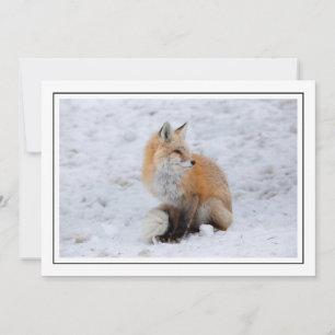 Cartes Pour Fêtes Annuelles Renard cascade en neige