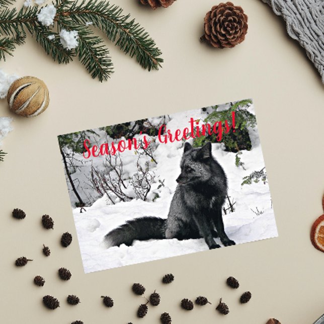 Cartes Pour Fêtes Annuelles Renard noir et argent en photo neige (In Situ)