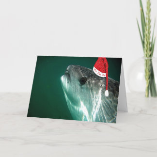 Cartes Pour Fêtes Annuelles Requin de baleine de HoHoHo
