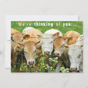Cartes Pour Fêtes Annuelles Rétablissez-Vous Vite Ferme Ranch Bovins Fleurs De