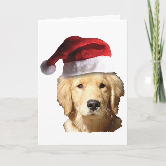 Cartes Pour Fêtes Annuelles Retriers d'or de Noël (Devant)