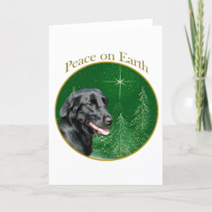 Cartes Pour Fêtes Annuelles Retriever à revêtement plat Paix