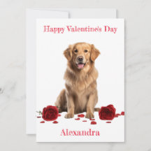 Retriever sur mesure avec Red Roses Valentine