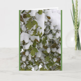 Cartes Pour Fêtes Annuelles Réunion des Saisons - Houx en Hiver, Dégel de Prin