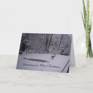 Cartes Pour Fêtes Annuelles Rêver de Noël blanc…