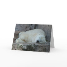 Rêver des icebergs