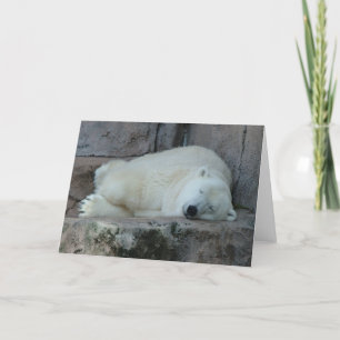 Cartes Pour Fêtes Annuelles Rêver des icebergs