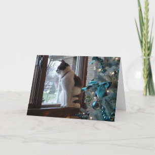 Cartes Pour Fêtes Annuelles Rêves de Noël