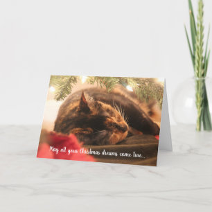 Cartes Pour Fêtes Annuelles Rêves de Noël Chat Calico Endormi, Personnalisé