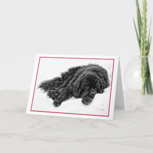 Cartes Pour Fêtes Annuelles Rêves d'hiver