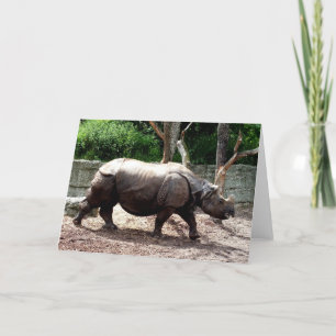 Cartes Pour Fêtes Annuelles Rhinocéros indien animal