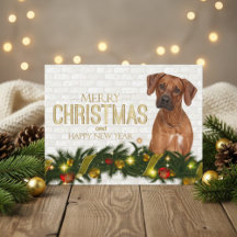 Rhodesian Ridgeback Joyeux Noël Bonne année