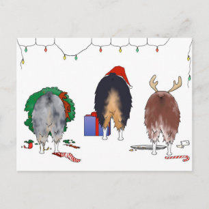 Cartes Pour Fêtes Annuelles Rien, mais un Noël australien