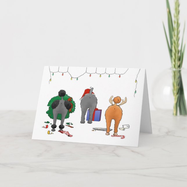 Cartes Pour Fêtes Annuelles Rien n'aboutent Noël de caniche (Devant)