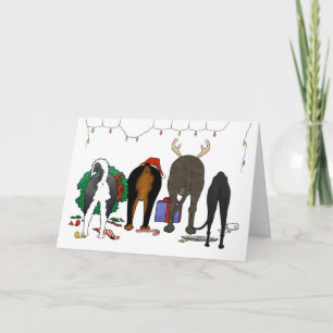 Cartes Pour Fêtes Annuelles Rien n'aboutent Noël de délivrance