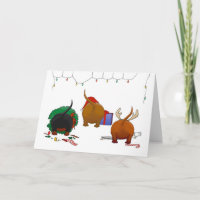 Rien n'aboutent Noël de Doxie