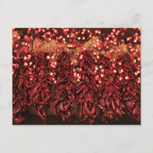 Cartes Pour Fêtes Annuelles Ristras de piment avec des lumières de vacances