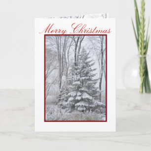 Cartes Pour Fêtes Annuelles ROBES D'HIVER ~ Naturelles