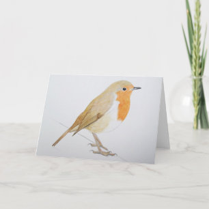 Cartes Pour Fêtes Annuelles Robin 2011