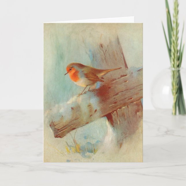 Cartes Pour Fêtes Annuelles Robin rouge (Devant)