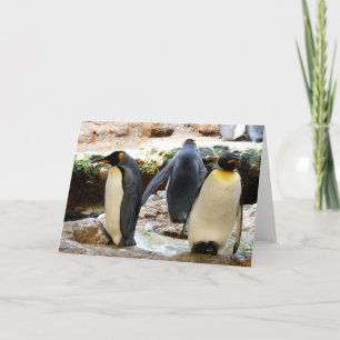 Cartes Pour Fêtes Annuelles Roi Pingouin