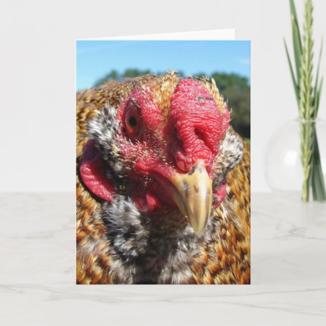 Cartes Pour Fêtes Annuelles Rooster créole (Devant)