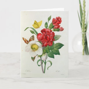 Cartes Pour Fêtes Annuelles Rose de Noël, Helleborus Niger