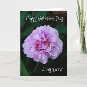 Cartes Pour Fêtes Annuelles rose rose pony valentine à mon ami