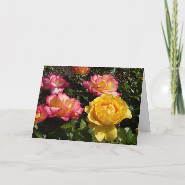 Cartes Pour Fêtes Annuelles Rose, Rose, Rose ! (Devant)