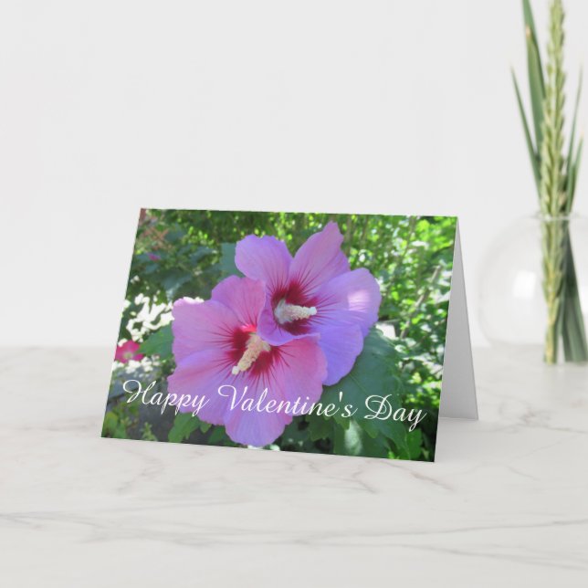 Cartes Pour Fêtes Annuelles Rose rose rose de Sharon Photo Saint Valentin (Devant)