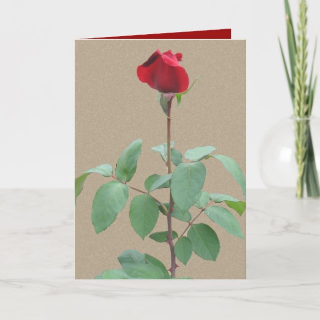 Cartes Pour Fêtes Annuelles Rose rouge à tige longue (Devant)