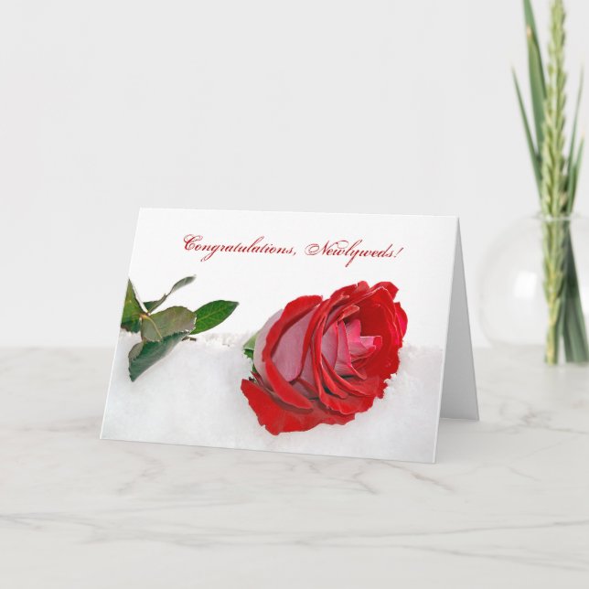 Cartes Pour Fêtes Annuelles Rose rouge dans la neige (Devant)