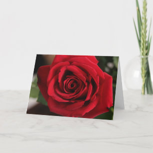 Cartes Pour Fêtes Annuelles Rose rouge photo