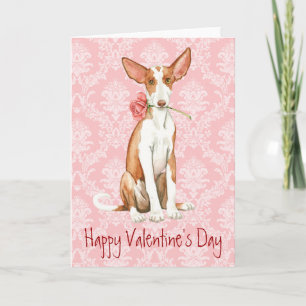 Cartes Pour Fêtes Annuelles Rose Valentin Ibizan Hound