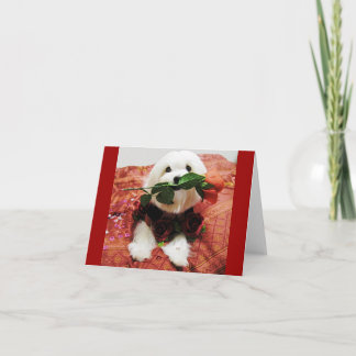 Cartes Pour Fêtes Annuelles Rose Valentin (vide à l'intérieur)