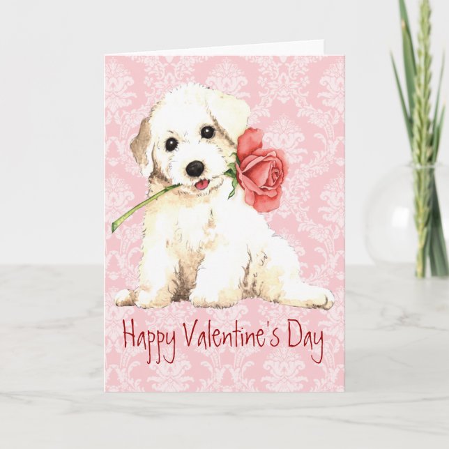 Cartes Pour Fêtes Annuelles Rose Valentine Bichon (Devant)