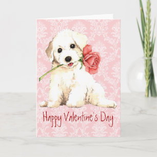 Cartes Pour Fêtes Annuelles Rose Valentine Bichon