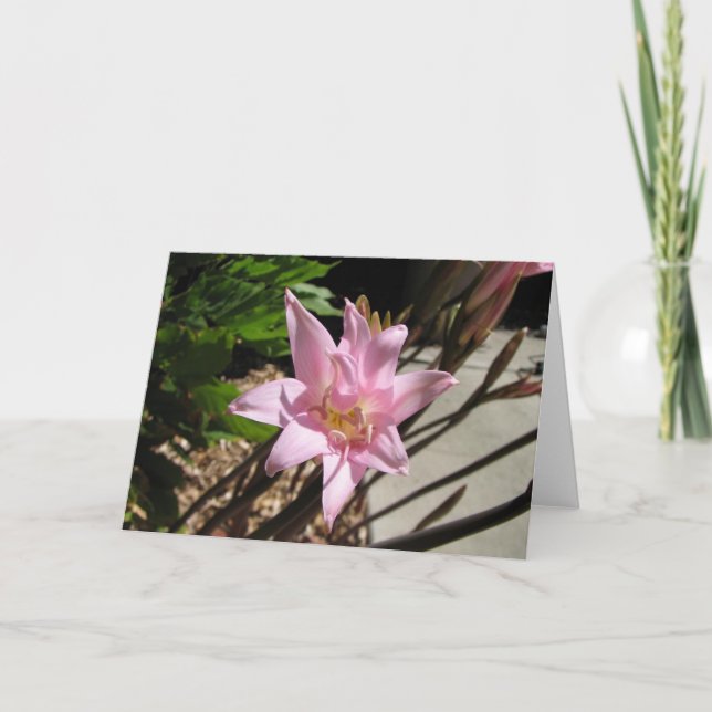 Cartes Pour Fêtes Annuelles roses (Devant)