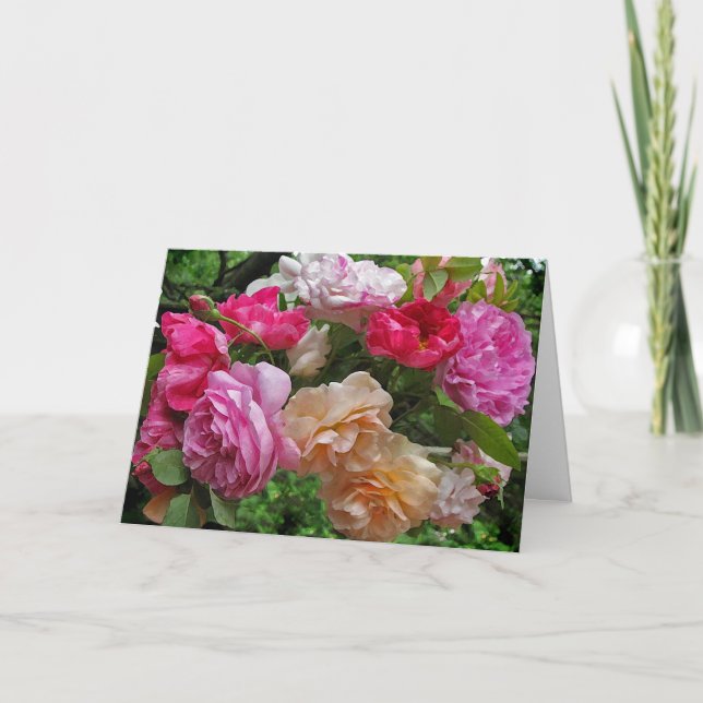 Cartes Pour Fêtes Annuelles Roses de Pâques (Devant)