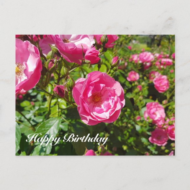Cartes Pour Fêtes Annuelles Roses florissants Joyeux anniversaire (Devant)